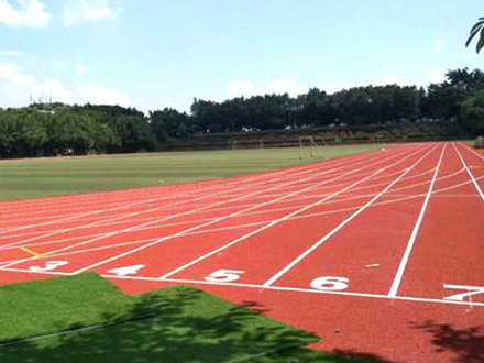 透氣型塑膠跑道專業施工學校塑膠跑道材料廠家