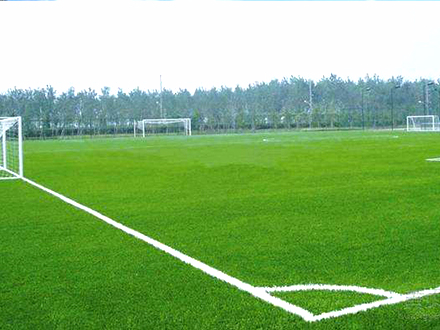 運動場地人造草地墊 各類體育館、幼兒園、學校單位、高爾夫球場等地面鋪設