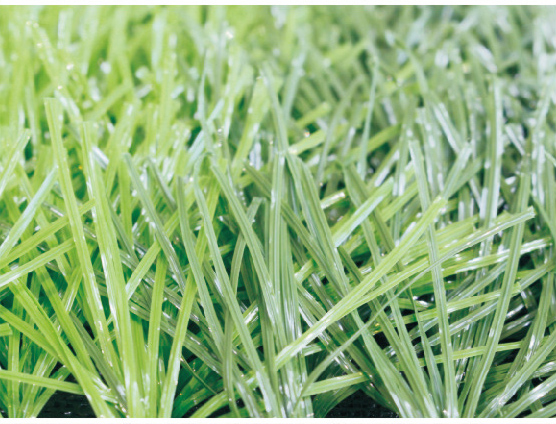 足球場人造草.jpg 足球場人造草.jpg